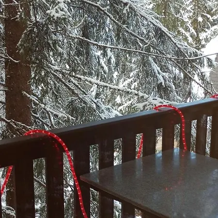 Ruza Vetrova 4 Nova Varoš