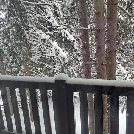 Apartmán Ruza Vetrova 4