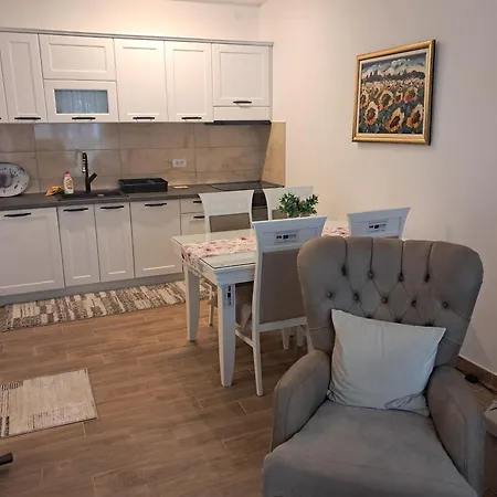 Ruza Vetrova 4 Apartmán Nova Varoš